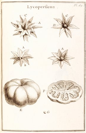 Botanica - Pitton de Tournefort, Joseph - Elemens de botanique ou méthode pour connoître les plantes