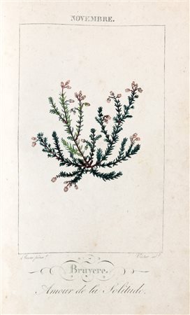 Botanica - De Latour, Charlotte - Le Langage des Fleurs