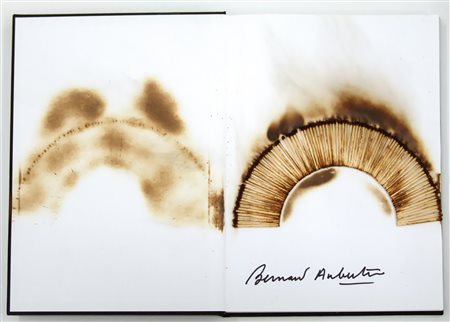 BERNARD AUBERTIN, Livre brûlé Rosenberg, 2010