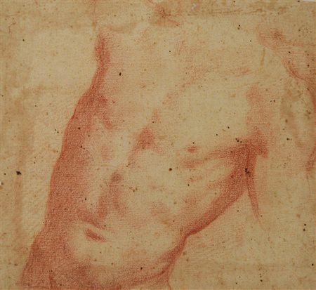 Scuola Toscana del XVII secolo STUDIO ANATOMICO. BUSTO MASCHILE sanguigna su...