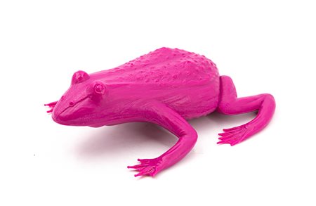 CRACKING ART GROUP (1983) – Rana