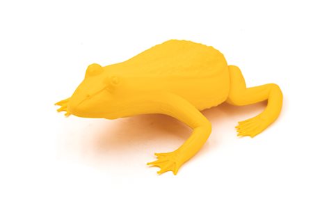 CRACKING ART GROUP (1983) – Rana