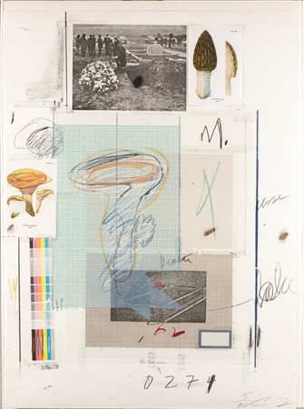 Cy Twombly (1928-2011), Natural History Part I (Mushrooms)