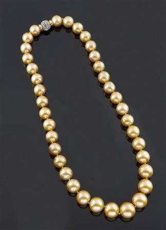 COLLANA DI PERLE Collana di perle australiane varietà gold, a scalare dal...