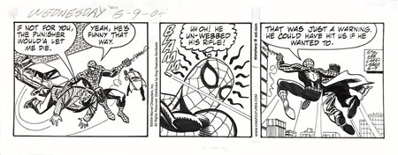 Stan Lee - Larry Lieber - Saviuk, The Amazing Spider-Man 