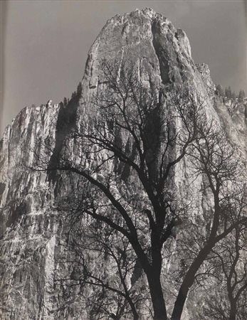 Ansel Adams (1902-1984), Sentinel Rock, Oak Tree