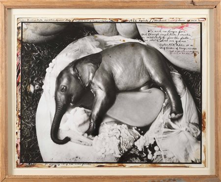 Peter Beard (1938), 1966, Uganda (Elephant Embryo)