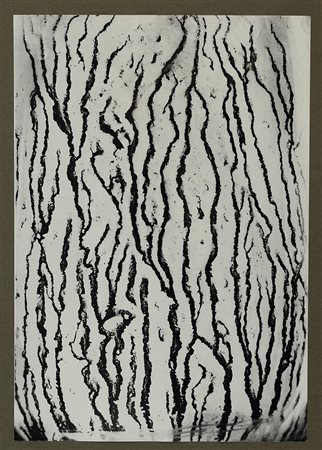 MAN RAY  (1890 - 1976) - Les Voies lactées.