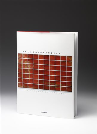 GALIMBERTI MAURIZIO (n. 1956) - ReadymadePolaroid Venezia.