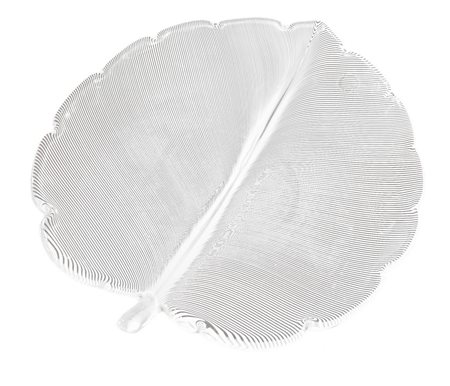 Venini, Foglia filigrana nei toni del bianco. Cm 26,5x21