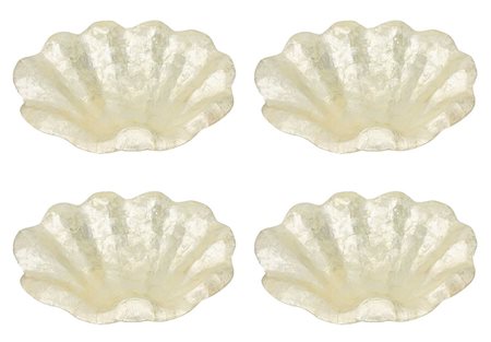 Quattro conchiglie tipo madreperla. Cm 45x29. Cm 45x29