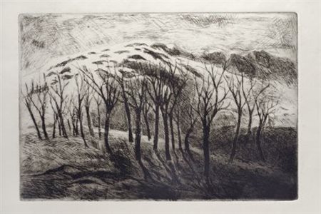 Anonimo del XX sec. Alberi Acquaforte, mm. 350x500 (foglio); mm. 245x370...