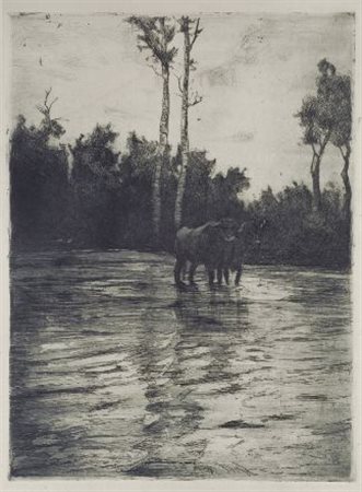 Attr. a Luigi Serena Buoi Acquaforte, mm. 460x350 (foglio); mm. 365x264 (lastra)