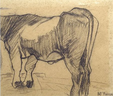 Mario Puccini (Livorno, 1869 - Firenze, 1920) Mucca Carboncino su carta, cm....