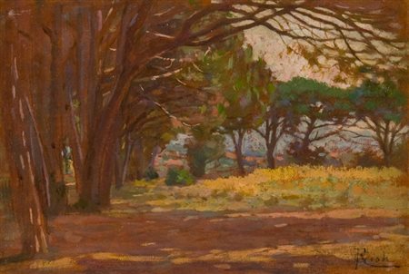 Francesco Gioli Pineta Olio su tavola, cm. 13,5x20 Firmato in basso a destra....