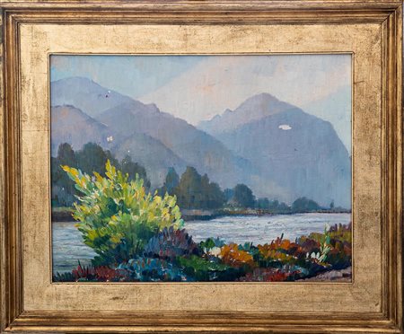 DYALMA STULTUS, Lungo il Fiume (Pianborno) Brescia