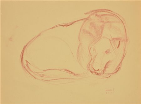 Hussein Madi LA LEONESSA sanguigna su carta, cm 37,5x50 firma e data retro:...