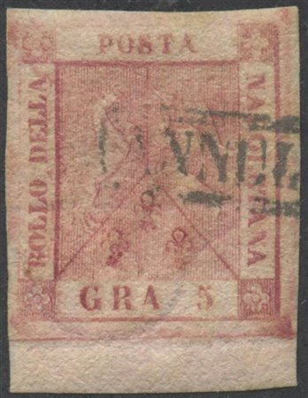 1858, 5gr. N.9 Carminio Rosa bordo di foglio in basso con interessante...