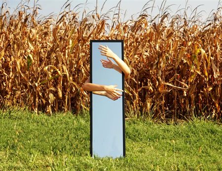 Laura Ansaloni, Abbracciando la libertà