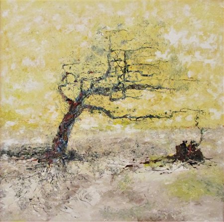 Vanni Martina,Amazonia