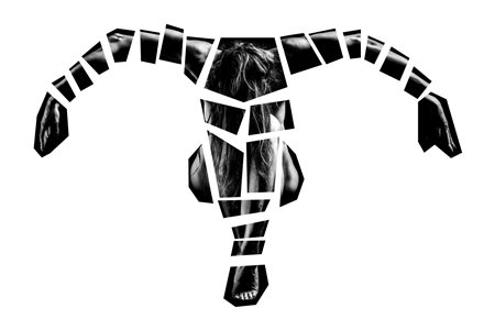 Manolo Tatti, Donna Uccello