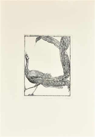 Abacuc ARGO COSTRETTO incisione su carta, battuta cm 31x24,5, su foglio cm...