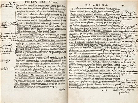 MELANTONE, Filippo (1497-1560) - De Anima. Lione: Sebastiano Grifo, 1542.

Copi