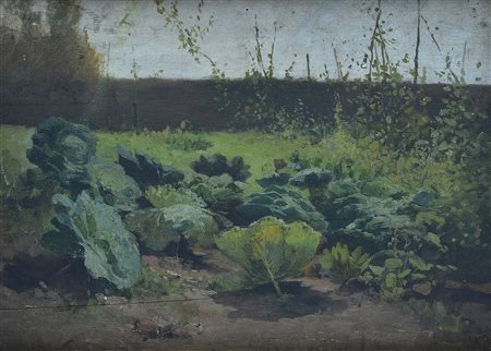 Anonimo, XX sec. Orto con cavoli