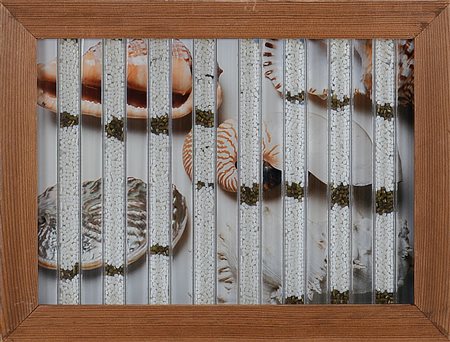 MARCO VERONESE Biella 1962 Fossili sintetici, 1994 foto e policarbonato con...