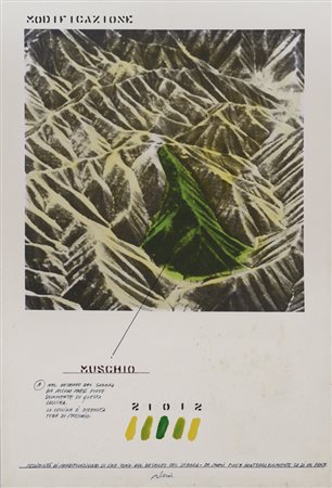 FABRIZIO PLESSI Reggio Emilia 03/04/1940 Dall'acquabiografico, Modificazione...