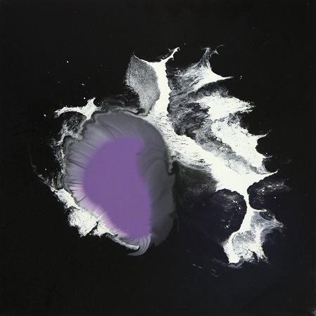 ALESSANDRO D’AMBROSIO Latina 28/02/1981 Visione, 2004 smalto su tela cm....