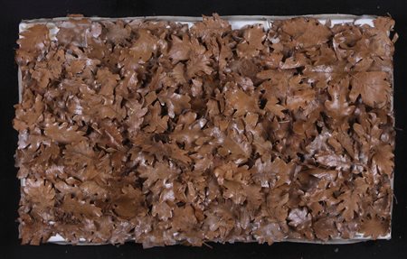 CHRISTIAN TOBAS Puz 1944 Natura morta, 1970 collage di foglie su tela cm....