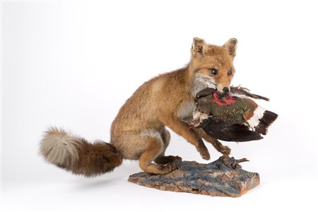 Stuffed fox and stuffed lapwing 