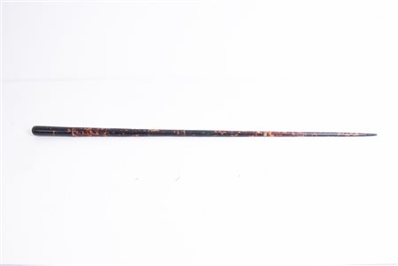Walking cane. 20th century