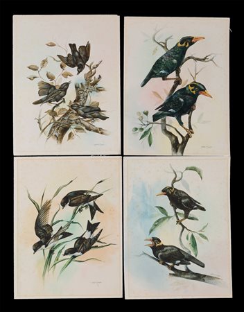 Four watercolours on paper. ANUSHA. Early 20th c