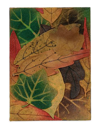 PIERO GILARDI (1942) - Foglie, 1978