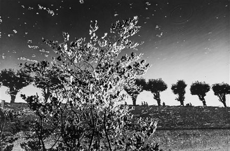 Mimmo Jodice (1934)  - Sully sur Loire, 1984