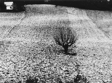 Mario Giacomelli (1925-2000)  - Storie di terra, 1983