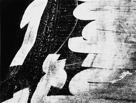 Mario Giacomelli (1925-2000)  - Presa di Coscienza sulla Natura, 1980
