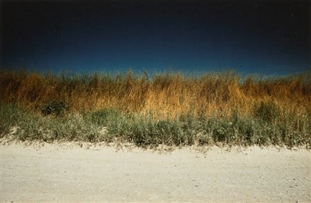Franco Fontana (1933)  - Landscape, 1974