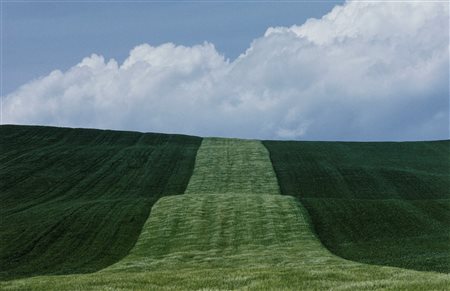 Franco Fontana (1933)  - Paesaggio, Basilicata, 1985