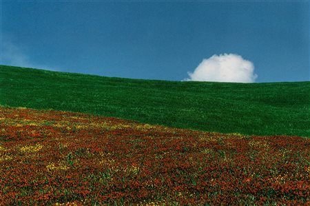 Franco Fontana (1933)  - Landscape, 1985