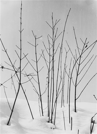 Nino Migliori (1926)  - Abbandono, years 1950