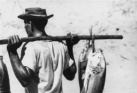 Fulvio Roiter (1926-2016)  - Senza titolo (Pescatore), years 1960