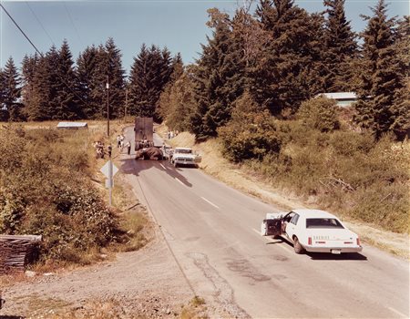 Joel Sternfeld (1944)  - Exhausted Renegade Elephant, Woodland, Washington, 1979