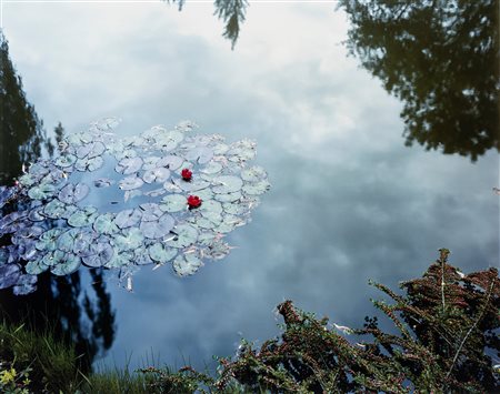 Stephen Shore (1947)  - Dalla serie "Giverny", 2002