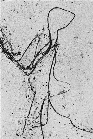 Aaron Siskind (1903-1991)  - Sea Weed 5, 1949