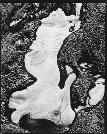 Brett Weston (1911-1993)  - Still life, Ice, 1961
