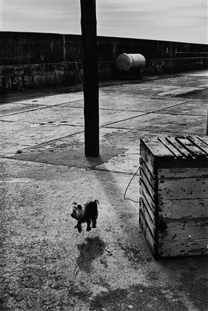 Elliott Erwitt (1928)  - Ballycotton, Ireland, 1968