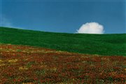 Franco Fontana (1933)  - Landscape, 1985
